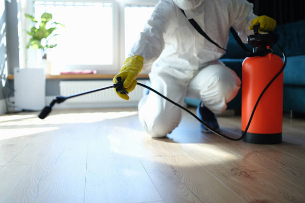 Reliable Biohazard contractor in Palestine, IL by Crime Scene Cleaner Online